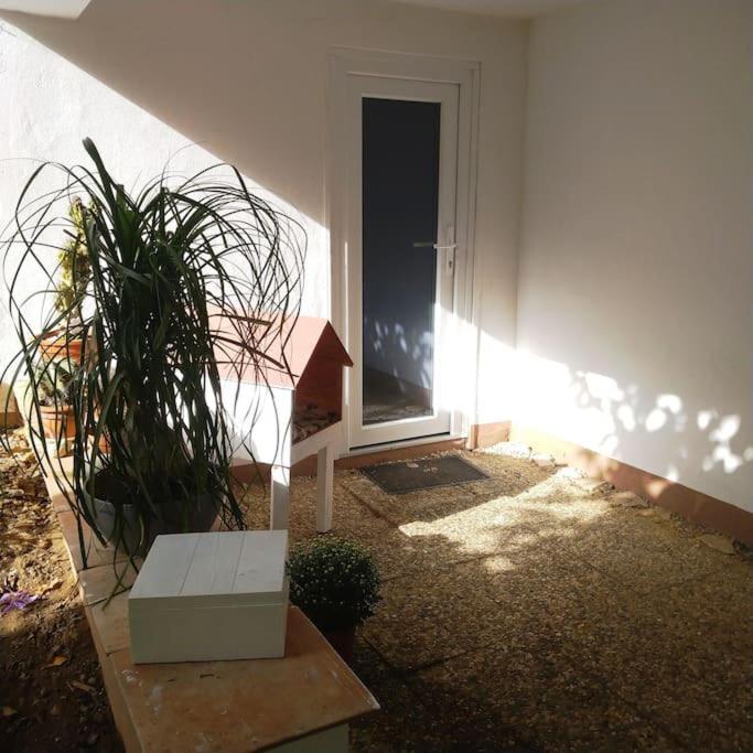 Ferienwohnung Carlchens Casa Reinhardshagen Exterior foto