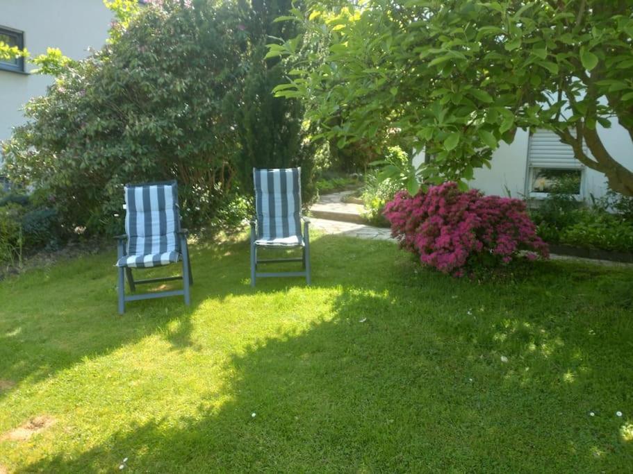 Ferienwohnung Carlchens Casa Reinhardshagen Exterior foto
