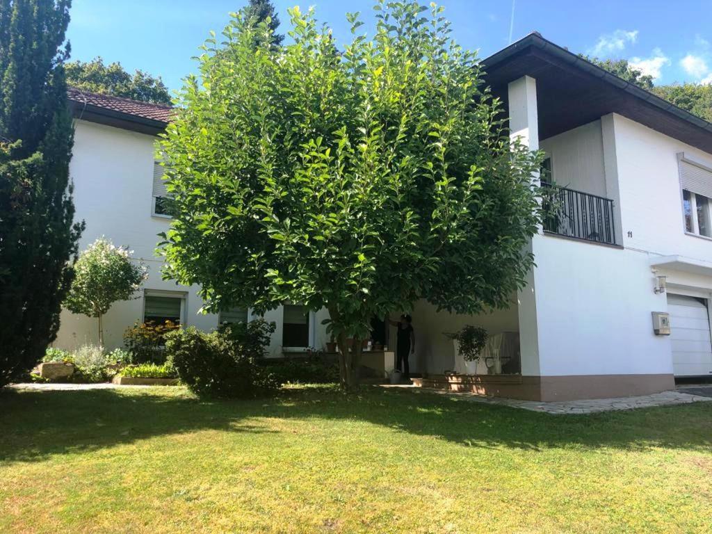 Ferienwohnung Carlchens Casa Reinhardshagen Exterior foto