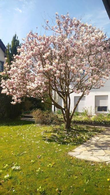 Ferienwohnung Carlchens Casa Reinhardshagen Exterior foto